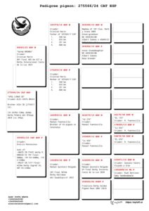 ALES COSTA BRAVA - Imagen 2