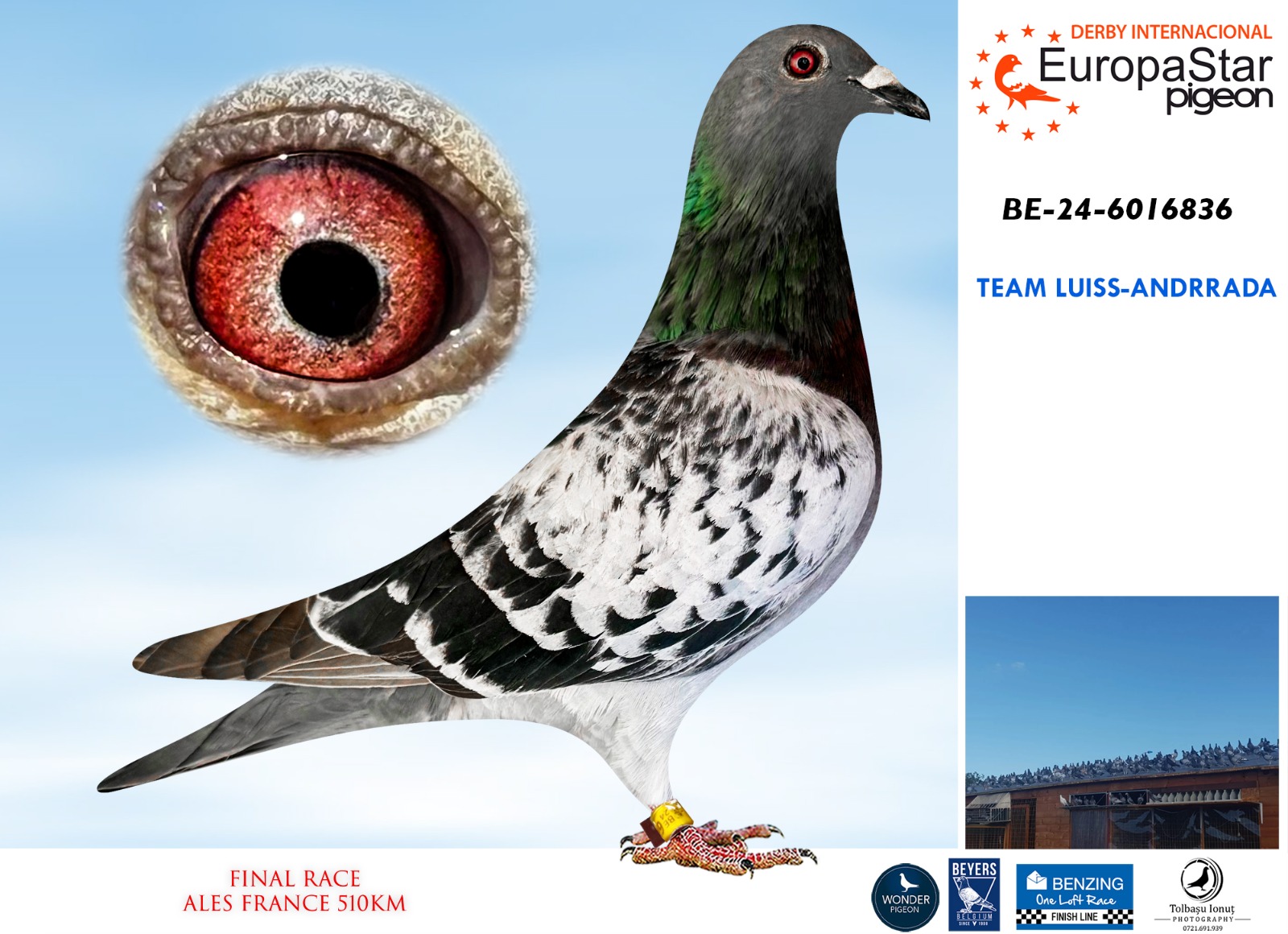 BE-24-6016836 TEAM LUISS-ANDRRADA - Imagen 1