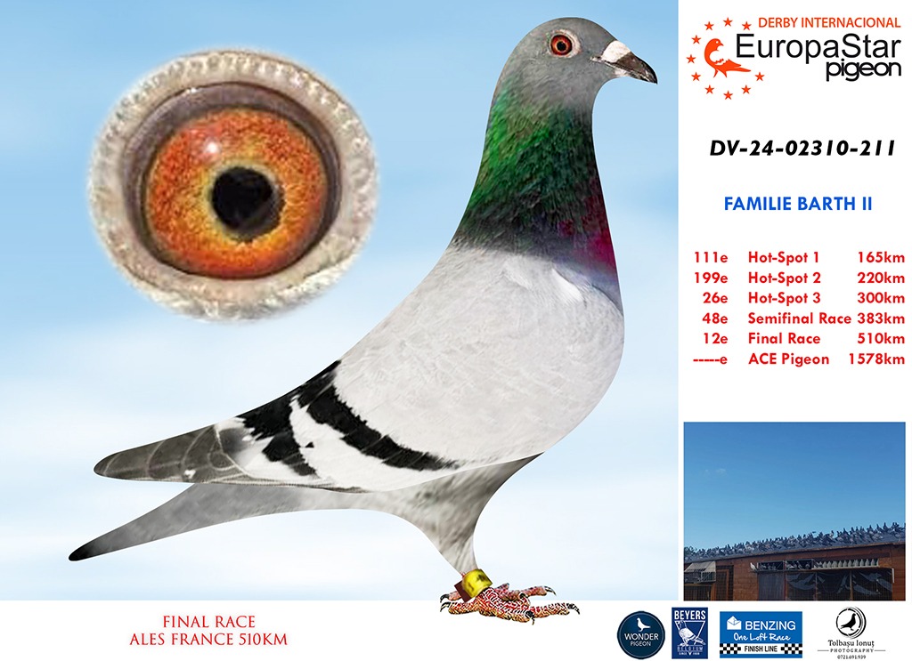 DV-24-02310-211 12º Final Race 510km - Imagen 1