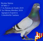 1º - Final Race 510km 🏆 - Imagen 3