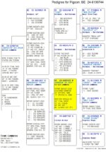 9º Final Race 510km - Imagen 2