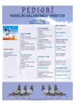 14º Final Race 510km - Imagen 2