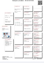 10º Final Race 510km - Imagen 2