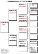 13º Final Race 510km - Imagen 2